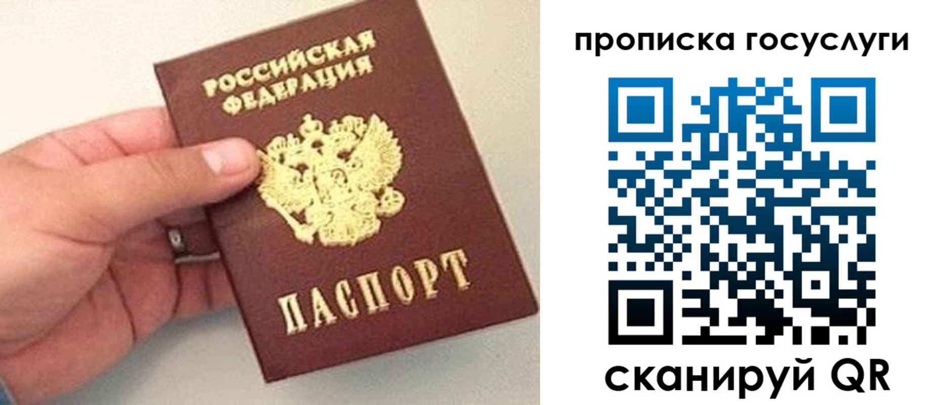 где прописаться в Гвардейске